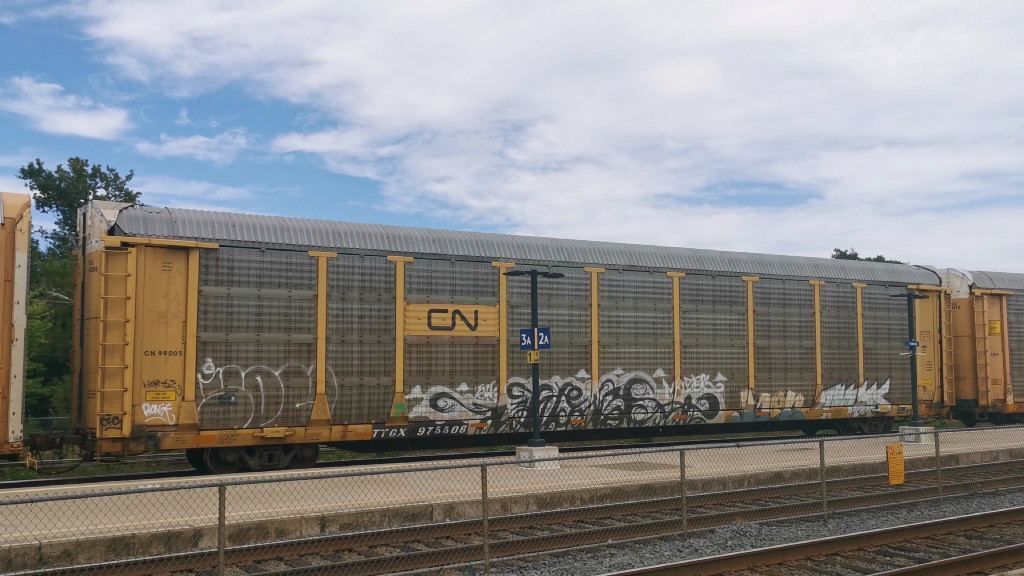 CN 99005 (Body) TTGX 975508 (Flat)